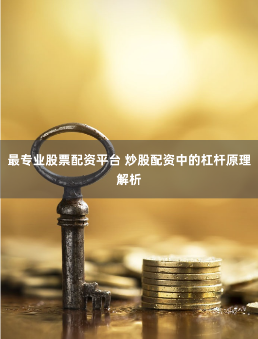 最专业股票配资平台 炒股配资中的杠杆原理解析