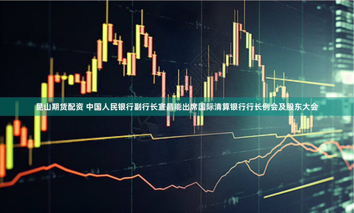 昆山期货配资 中国人民银行副行长宣昌能出席国际清算银行行长例会及股东大会