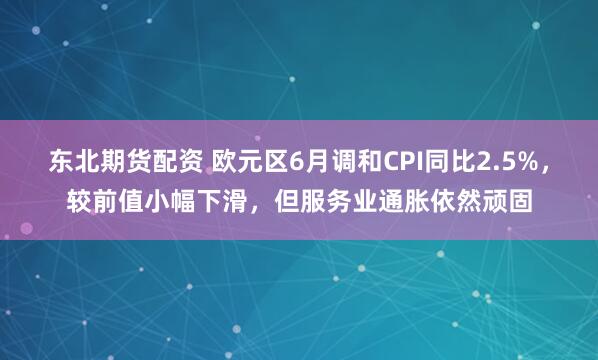 东北期货配资 欧元区6月调和CPI同比2.5%，较前值小幅下滑，但服务业通胀依然顽固