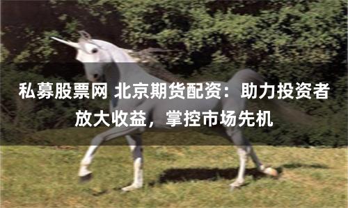 私募股票网 北京期货配资：助力投资者放大收益，掌控市场先机
