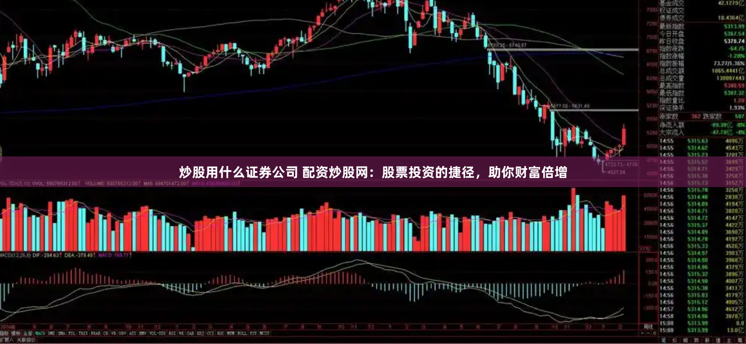 炒股用什么证券公司 配资炒股网：股票投资的捷径，助你财富倍增