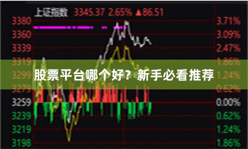 股票平台哪个好？新手必看推荐