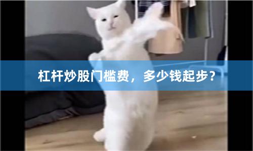 杠杆炒股门槛费,多少钱起步?
