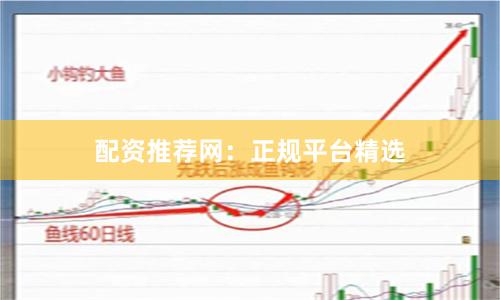 配资推荐网：正规平台精选